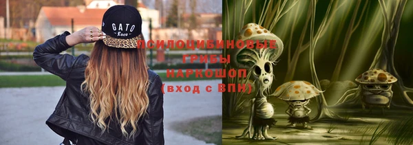 МДПВ Верхний Тагил