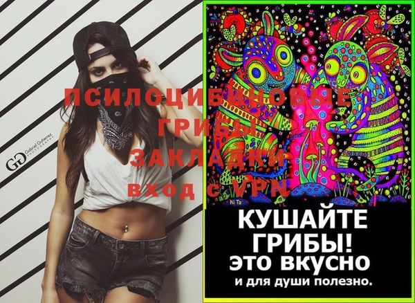 МДПВ Верхний Тагил