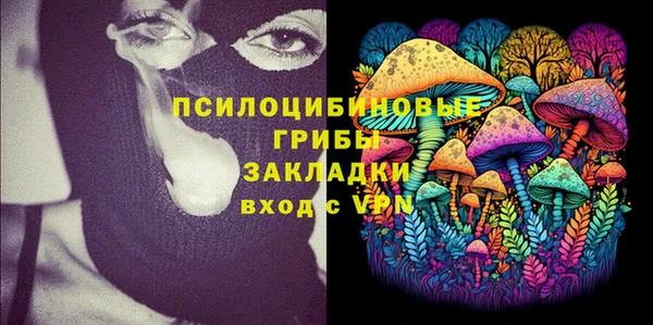 бошки Верея