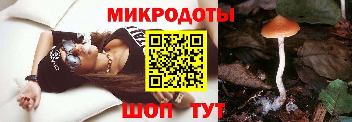 Псилоцибиновые грибы Psilocybe  Вход с VPN  где купить наркотик  Гатчина 