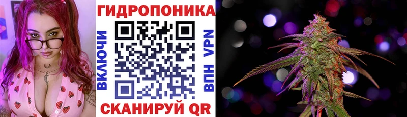 Бошки марихуана конопля  наркошоп  Гатчина 